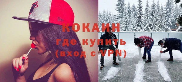 дживик Алзамай