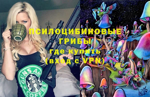 первитин Алексеевка