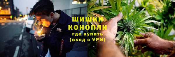 дживик Алзамай
