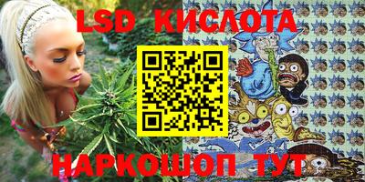 дмт Гай