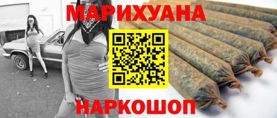 дмт Гай