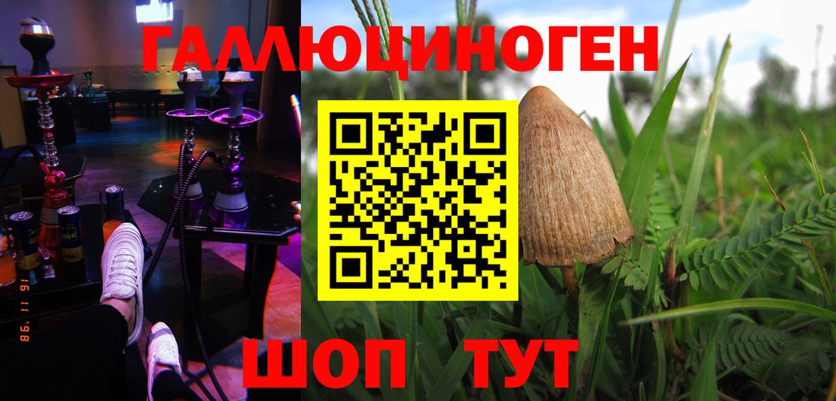 Киреевск  Псилоцибиновые грибы мухоморы  Вход с VPN  Псилоцибиновые грибы мухоморы 